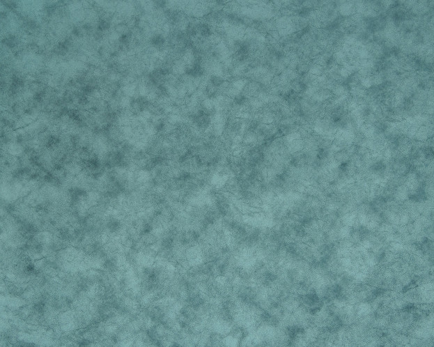 ALASKA MINT