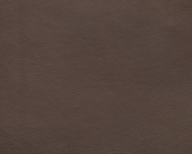 MARVEL PEARL BRONZE