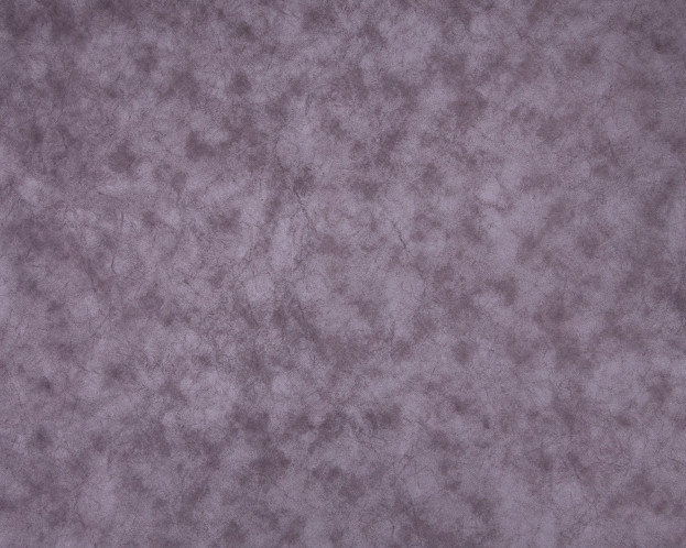 ALASKA PLUM