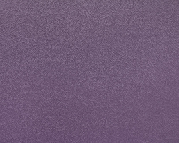MARVEL VIOLA