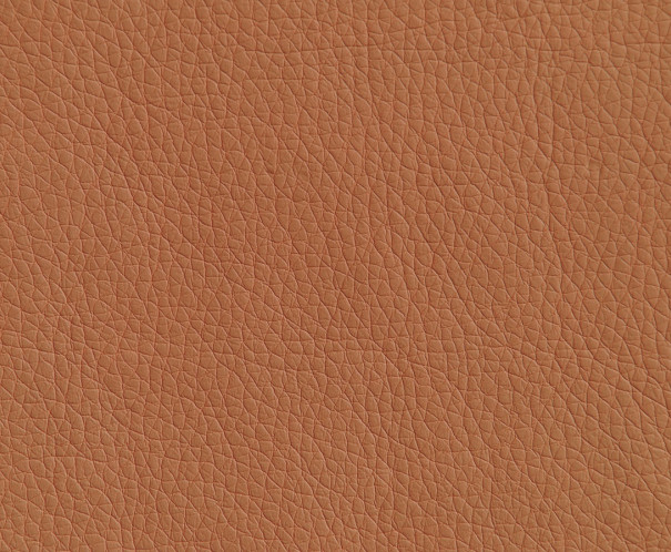 Oregon 06