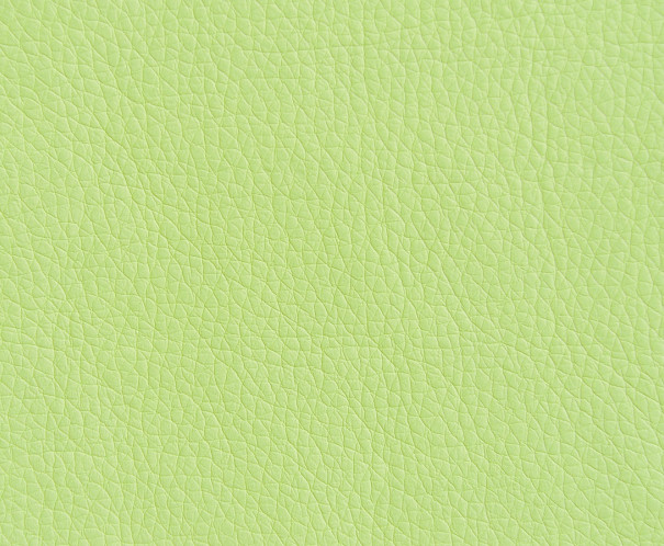 Oregon 19
