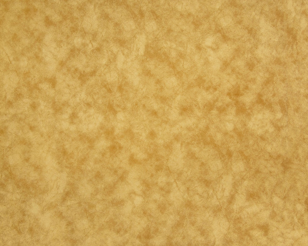 ALASKA MUSTARD