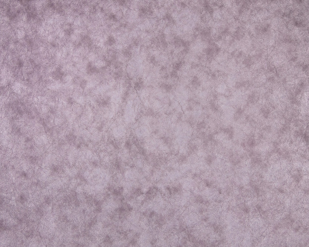 ALASKA DIMROSE