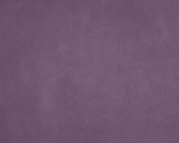 BINGO PLUM