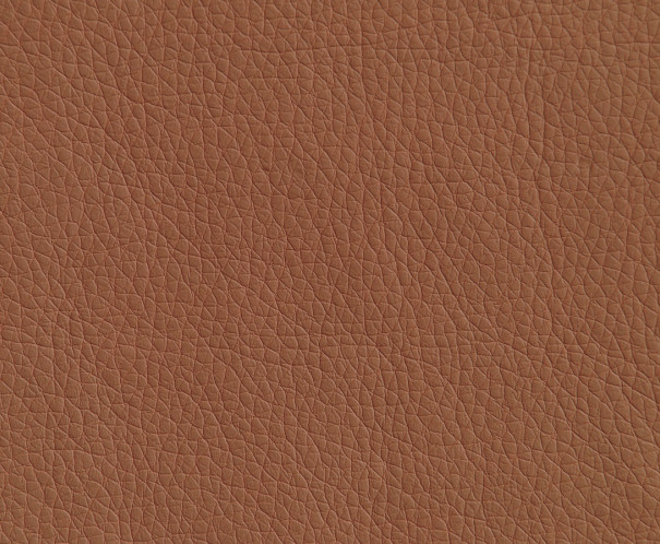 Oregon 07