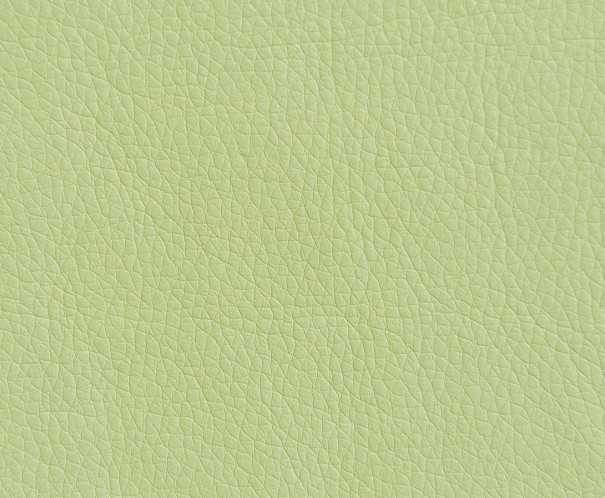 Oregon 33