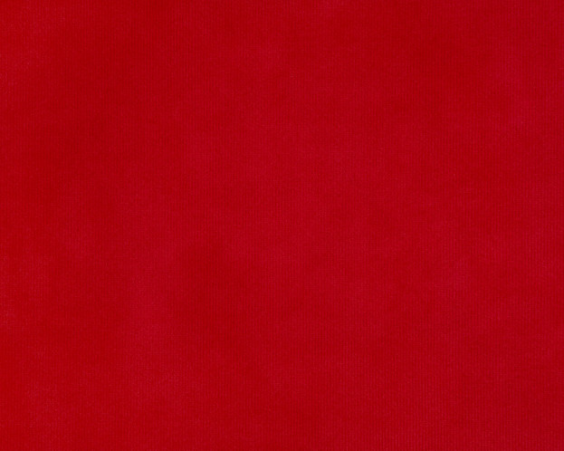 BINGO RED