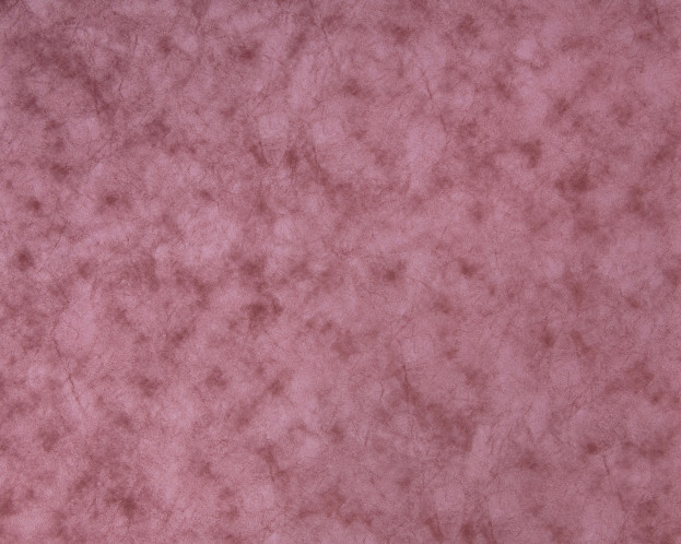 ALASKA BERRY