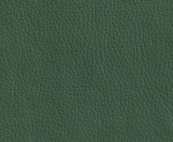 Oregon 01